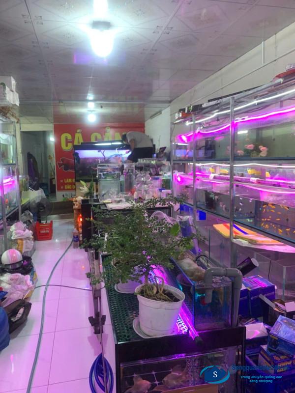 Sang nhượng cửa hàng