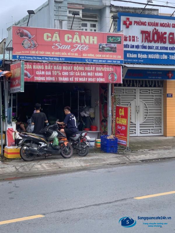 Cần Sang Nhượng Tiệm Cá Cảnh Ở Quận 12