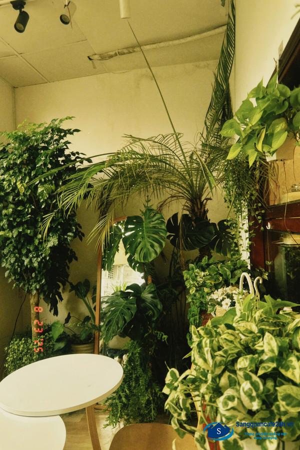 Sang quán cafe