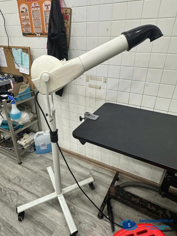 Sang cửa hàng thú nuôi