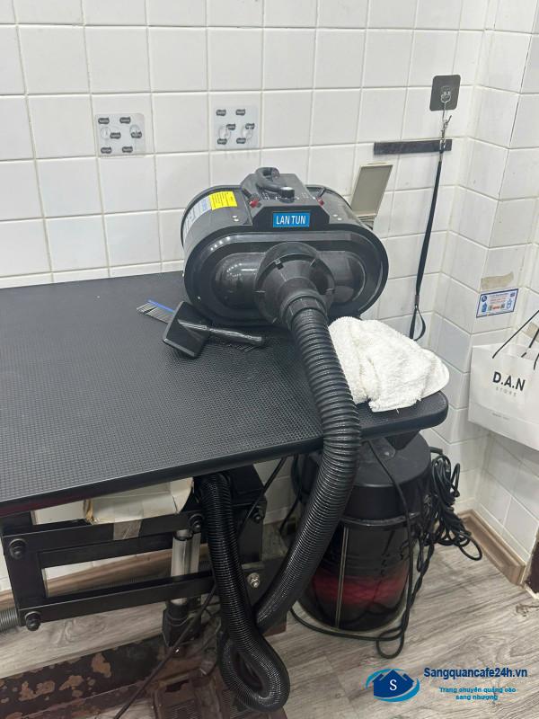 Sang cửa hàng thú nuôi